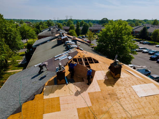 Best Storm Damage Roof Repair  in Lovejoy, GA